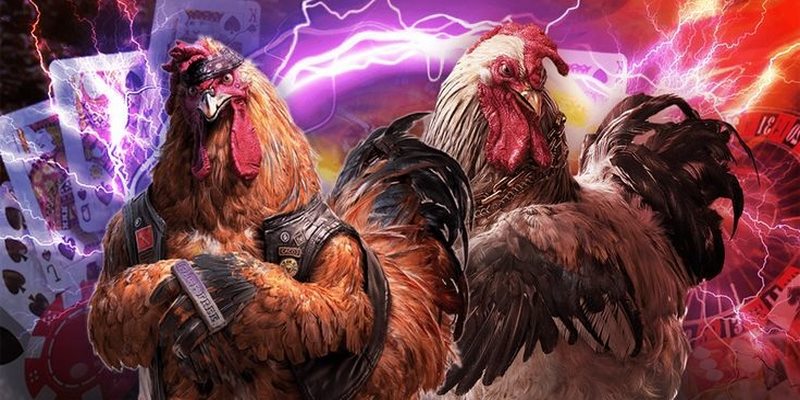 W188 tạo ra sân chơi chọi kê hot nhất